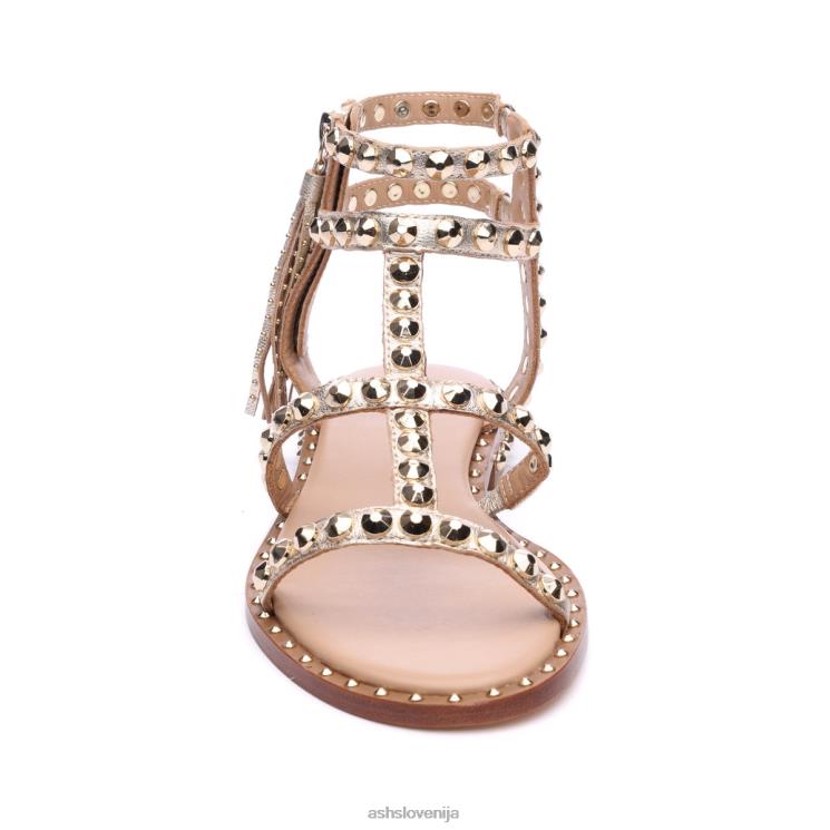 močan kovinski ravno sandal z resicami ženske svetlo zlato sandaliASH X28LH53