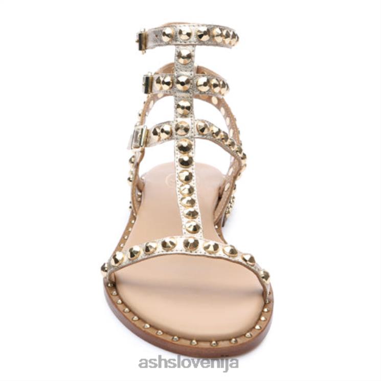 play ravni sandal s kovinskimi jebci ženske svetlo zlato sandaliASH X28LH52