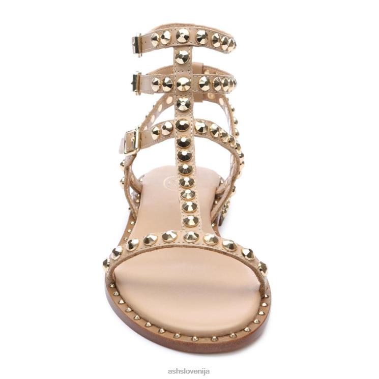 play ravni sandal z jeklenkami ženske koža/zlato sandaliASH X28LH56